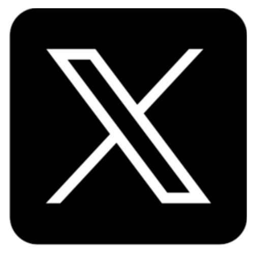 X icon